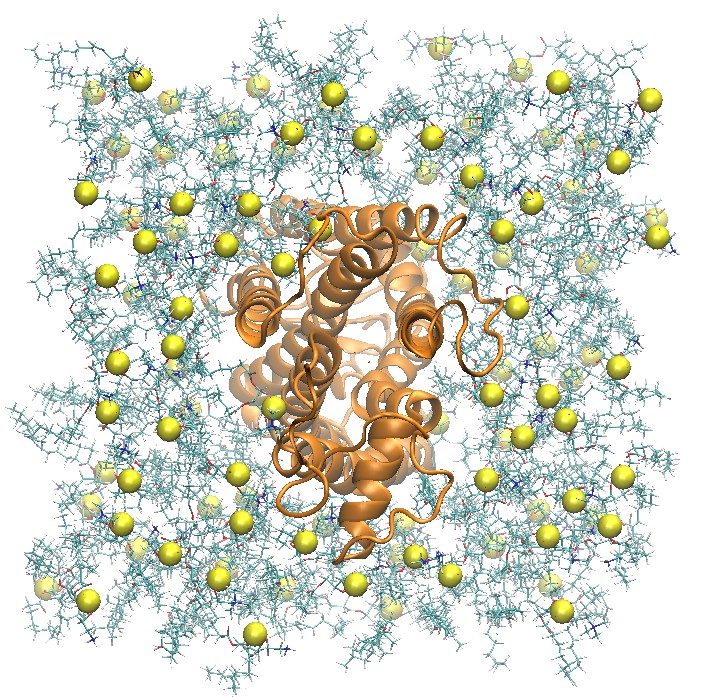 Rhodopsin_Top