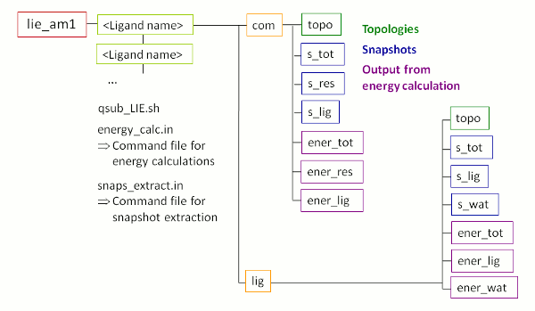 Sub-structure of the folder created in setup of LIE analyzes